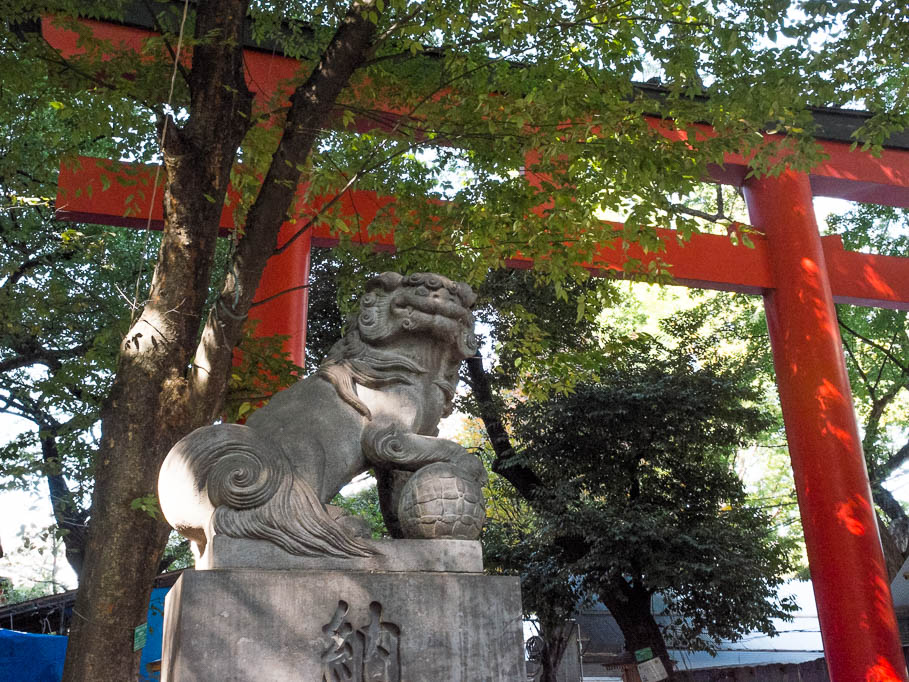 2017-10-26 10-28-12 FUJI0011