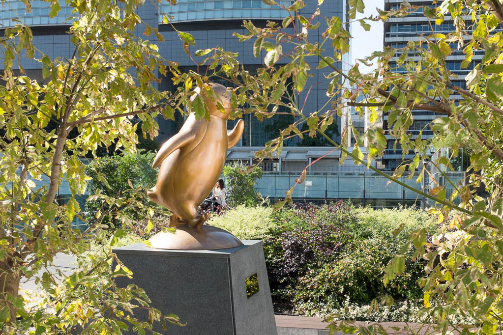 2017-10-26 11-43-36 FUJI0052