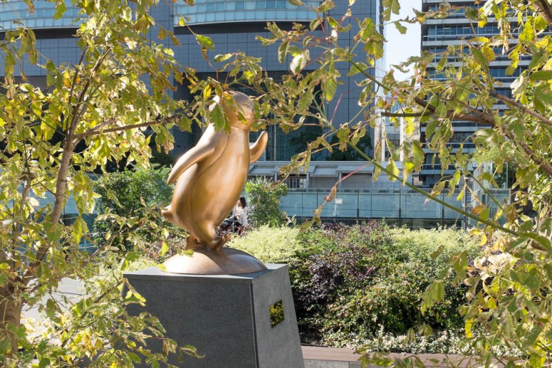 2017-10-26 11-43-36 FUJI0052