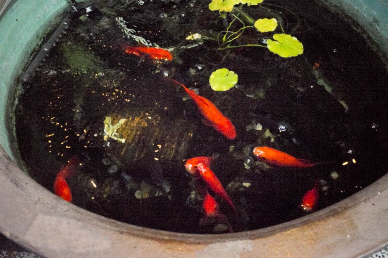 2017-10-26 15-50-26 FUJI0157