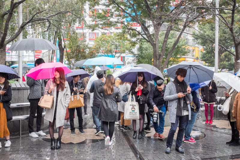 2017-10-28 14-29-20 FUJI0257