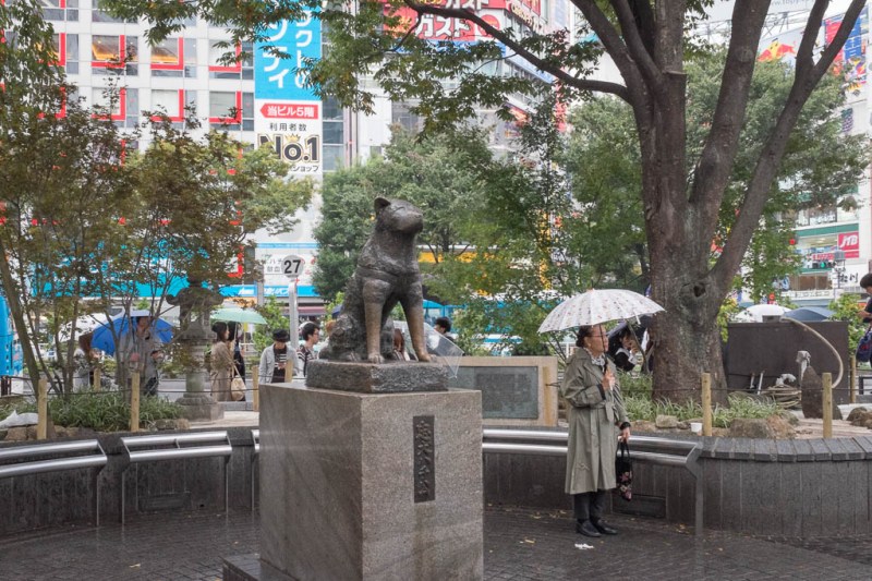 2017-10-28 14-30-04 FUJI0259