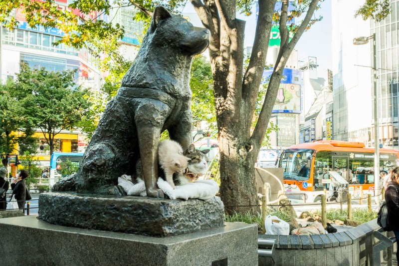 2017-10-30 13-49-00 FUJI0666