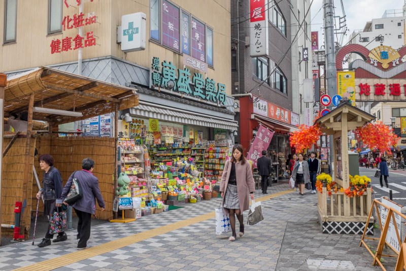 2017-10-31 14-15-46 FUJI0839