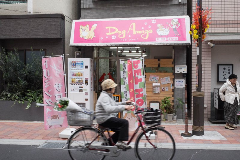 2017-10-31 14-53-24 FUJI0892