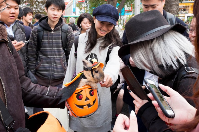 2017-10-31 15-54-28 FUJI0914