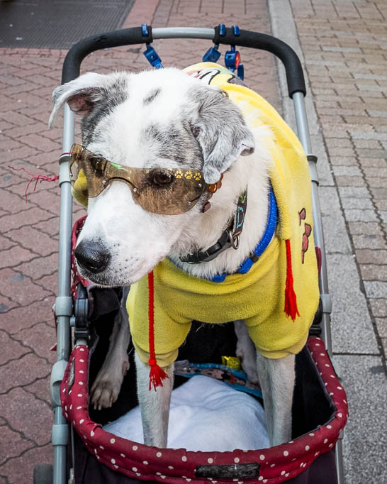 2017-10-31 16-15-42 FUJI0929