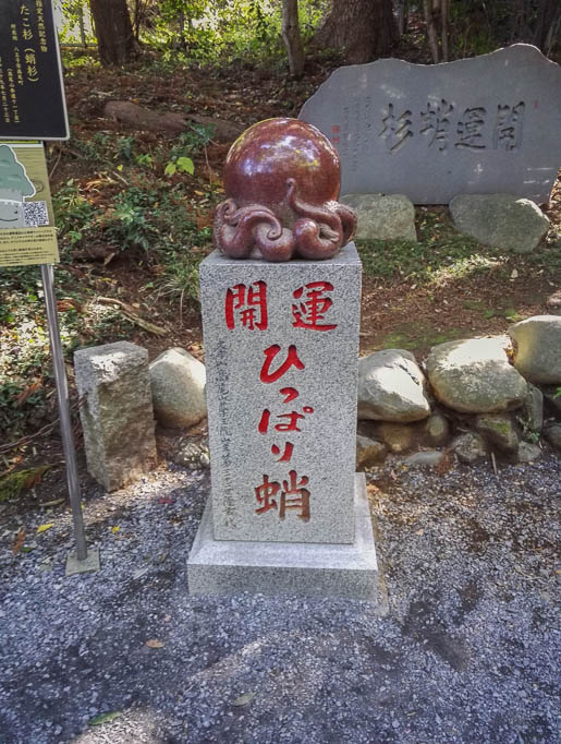 2017-11-03 10-49-46 IMG_20171103_104945