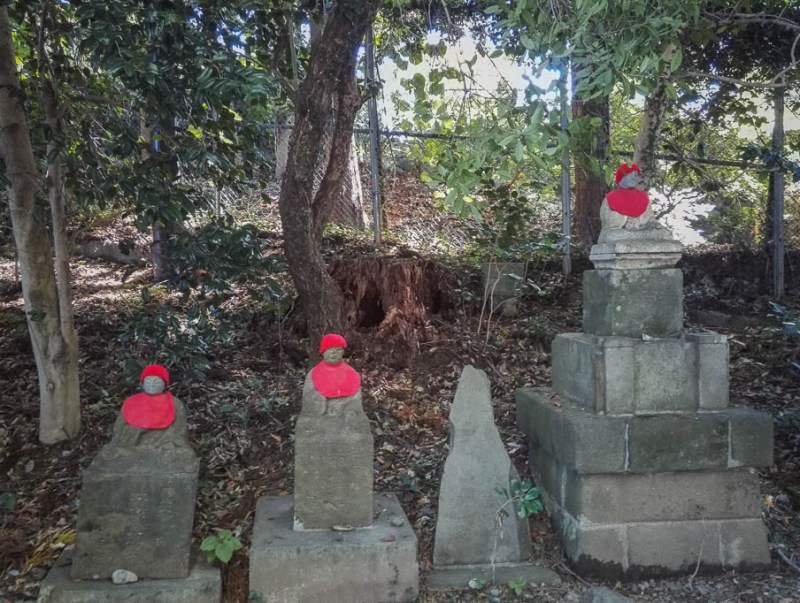 2017-11-03 10-50-30 IMG_20171103_105030