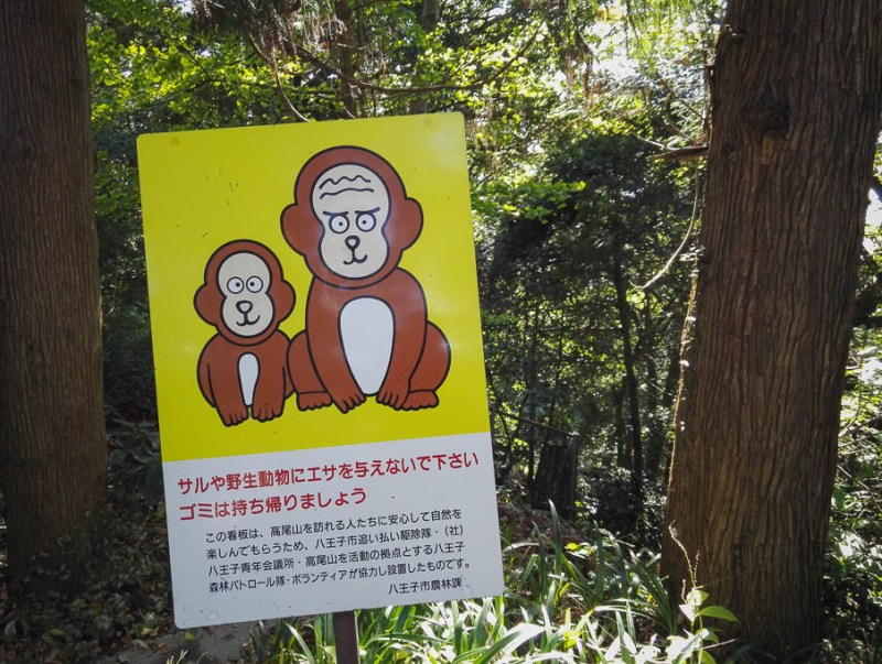 2017-11-03 10-51-00 IMG_20171103_105100