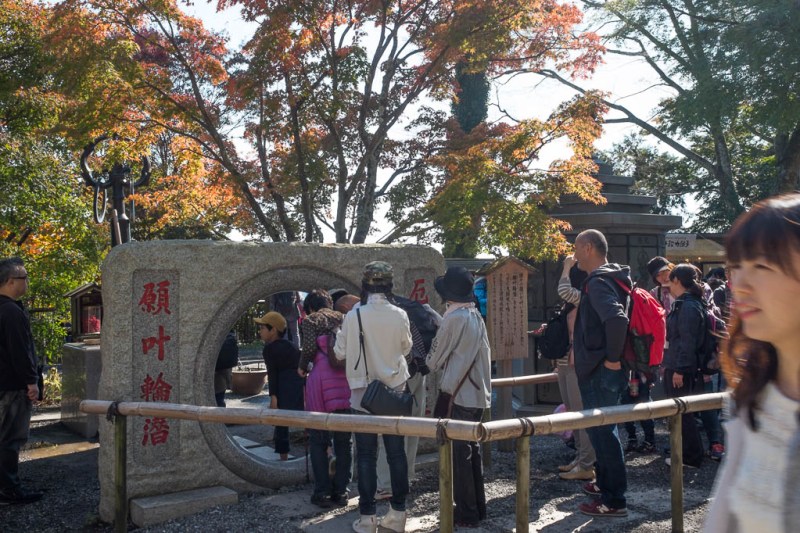 2017-11-03 11-32-36 FUJI1464