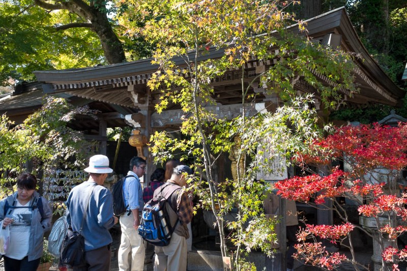 2017-11-03 11-34-08 FUJI1469