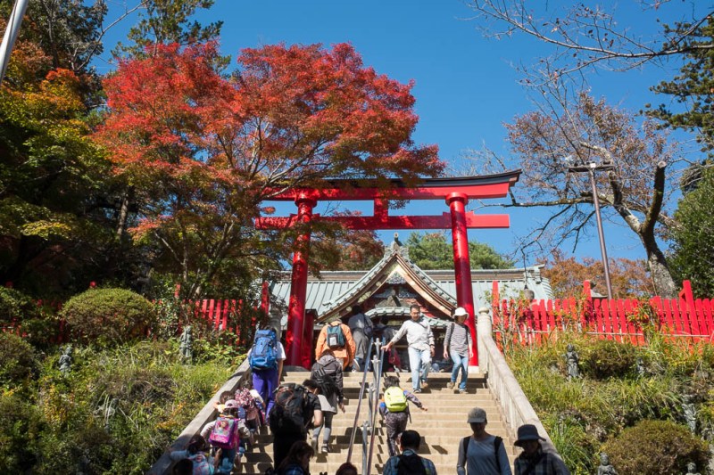 2017-11-03 11-48-46 FUJI1494