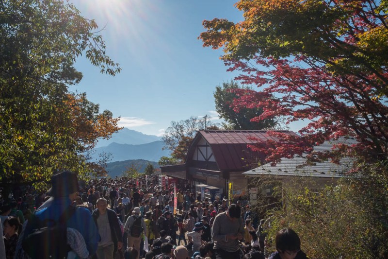 2017-11-03 12-56-40 FUJI1557