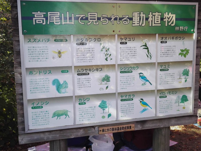 2017-11-03 13-15-22 IMG_20171103_131522