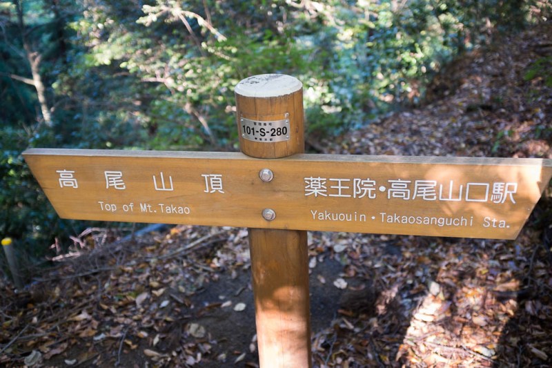 2017-11-03 13-51-36 FUJI1581