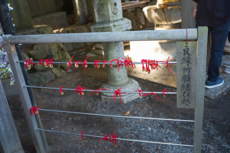 2017-11-03 14-11-50 FUJI1607